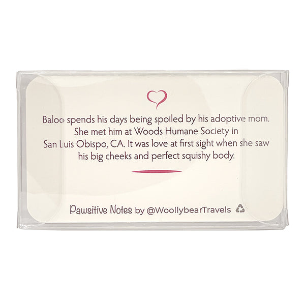 Pawsitive Notes- Baloo