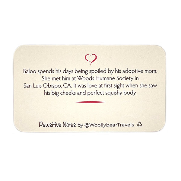 Pawsitive Notes- Baloo