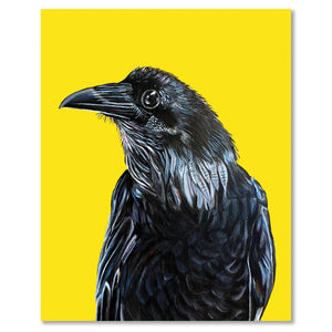 Raven Fine Art Print – Corax