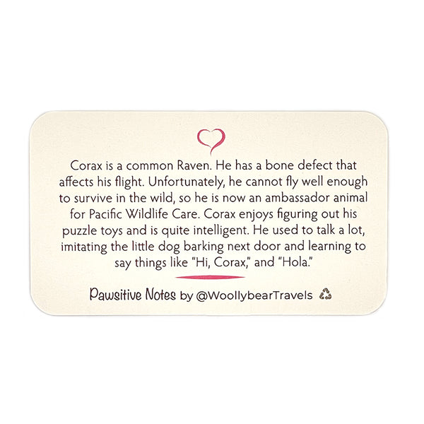 Pawsitive Notes- Corax