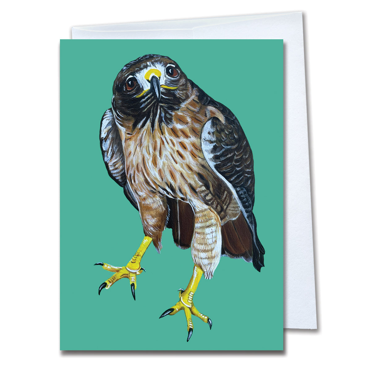 Red-Tailed Hawk Greeting Card – Denali