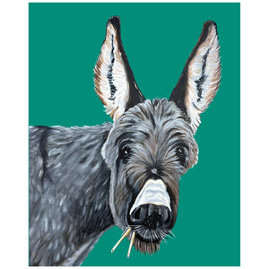 Donkey Fine Art Print – Fred