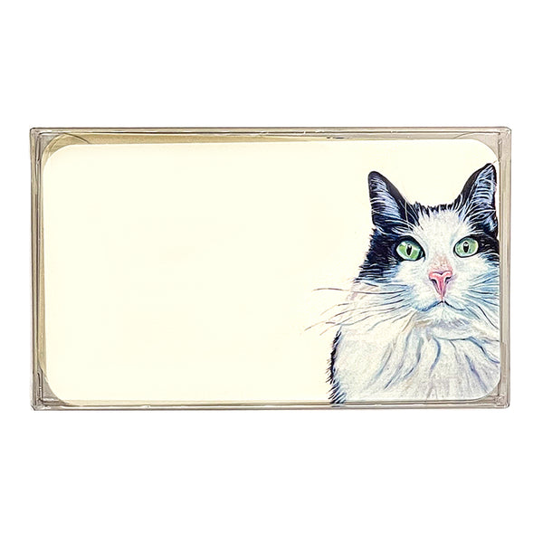 Pawsitive Notes- Kiwi