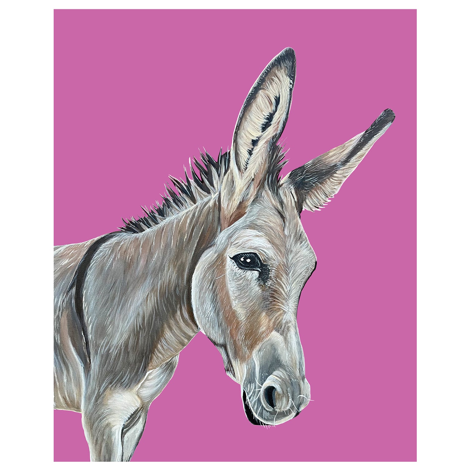 Donkey Fine Art Print – Lucille