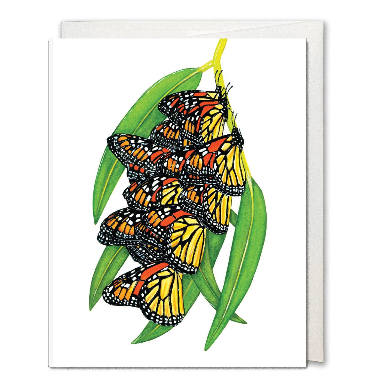 Monarch Clump Notecard