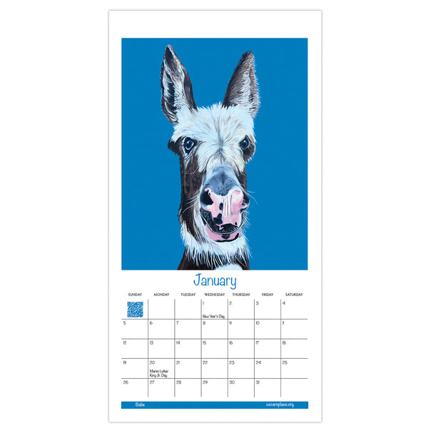 2025 Donkey Calendar