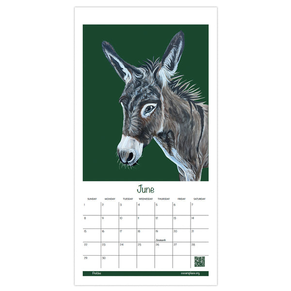 2025 Donkey Calendar