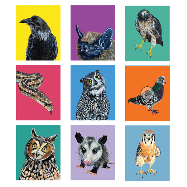 Pacific Wildlife Care Greeting Cards - Pack of 9