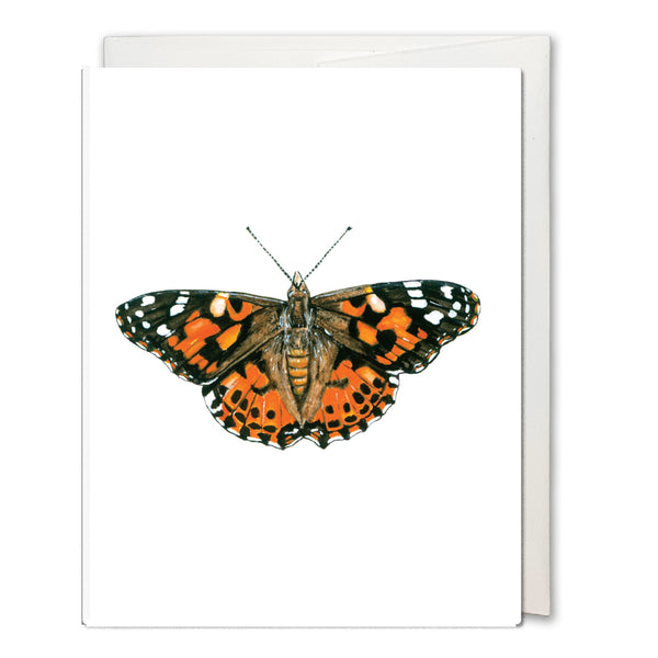 Painted Lady Butterfly Card