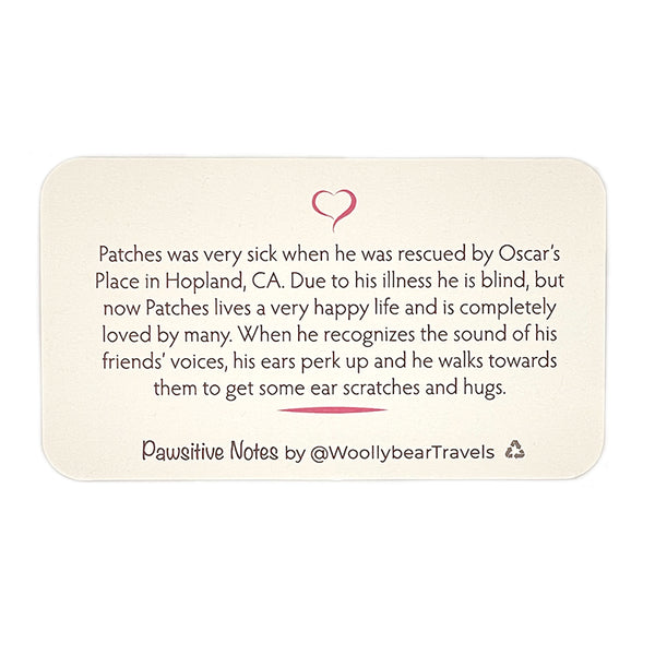Pawsitive Notes- Patches