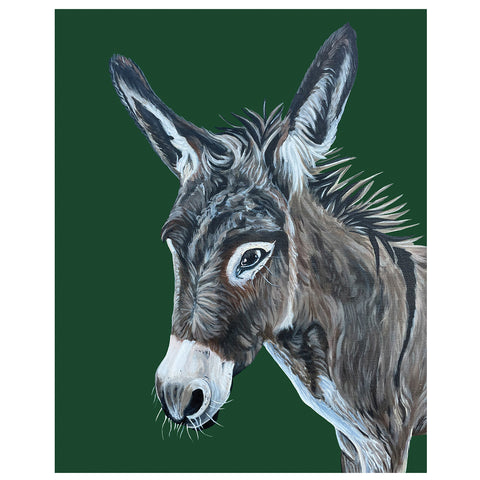 Donkey Fine Art Print – Pickles