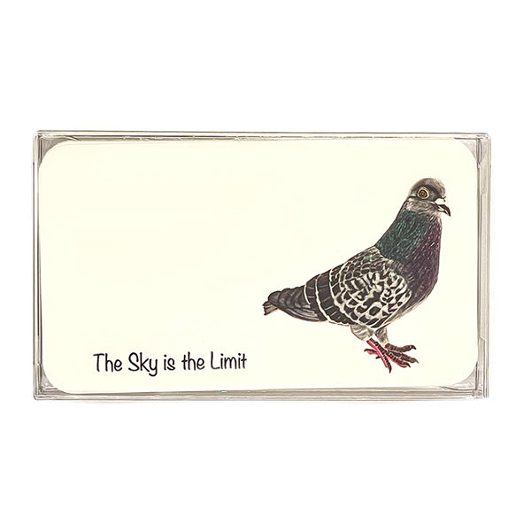 Pawsitive Notes- Pidgy