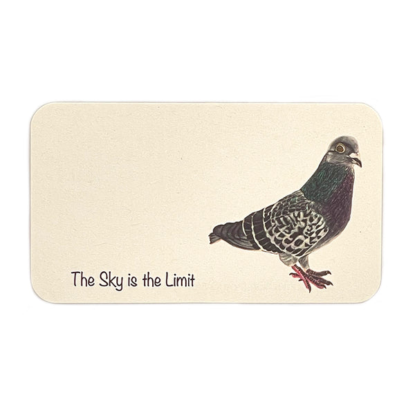 Pawsitive Notes- Pidgy