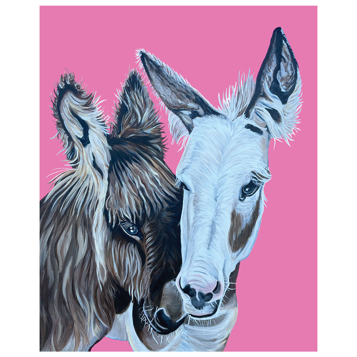 Donkey Fine Art Print – Rachel and Phoebe