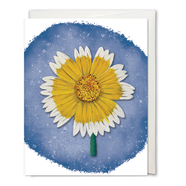 Wildflower Botecards Box Set of 8