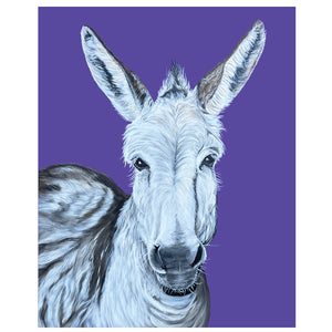 Donkey Fine Art Print –Viejo