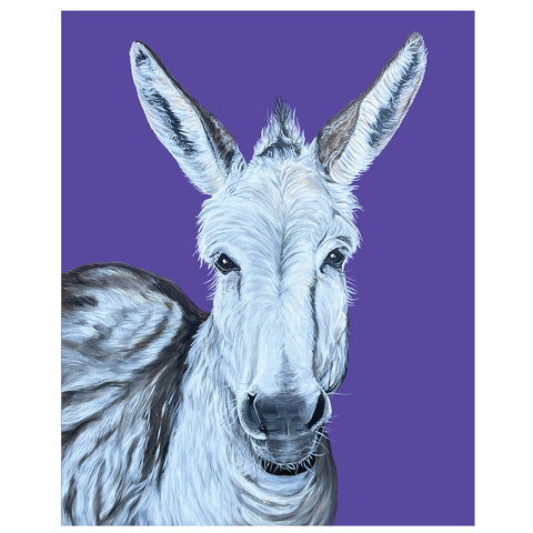 Donkey Fine Art Print –Viejo