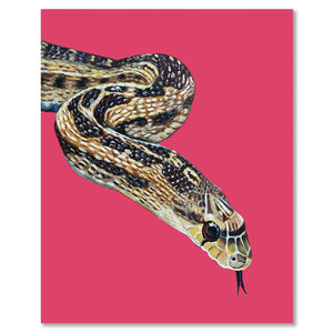 Snake Fine Art Print – William Snakespeare