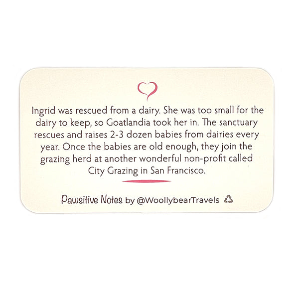 Pawsitive Notes- Ingrid