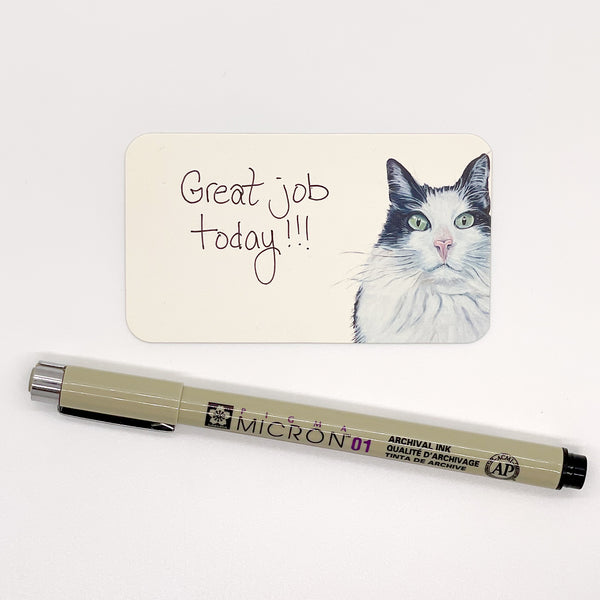 Pawsitive Notes- Kiwi