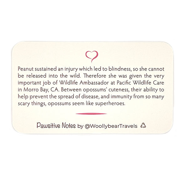 Pawsitive Notes- Peanut