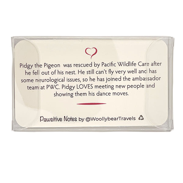 Pawsitive Notes- Pidgy