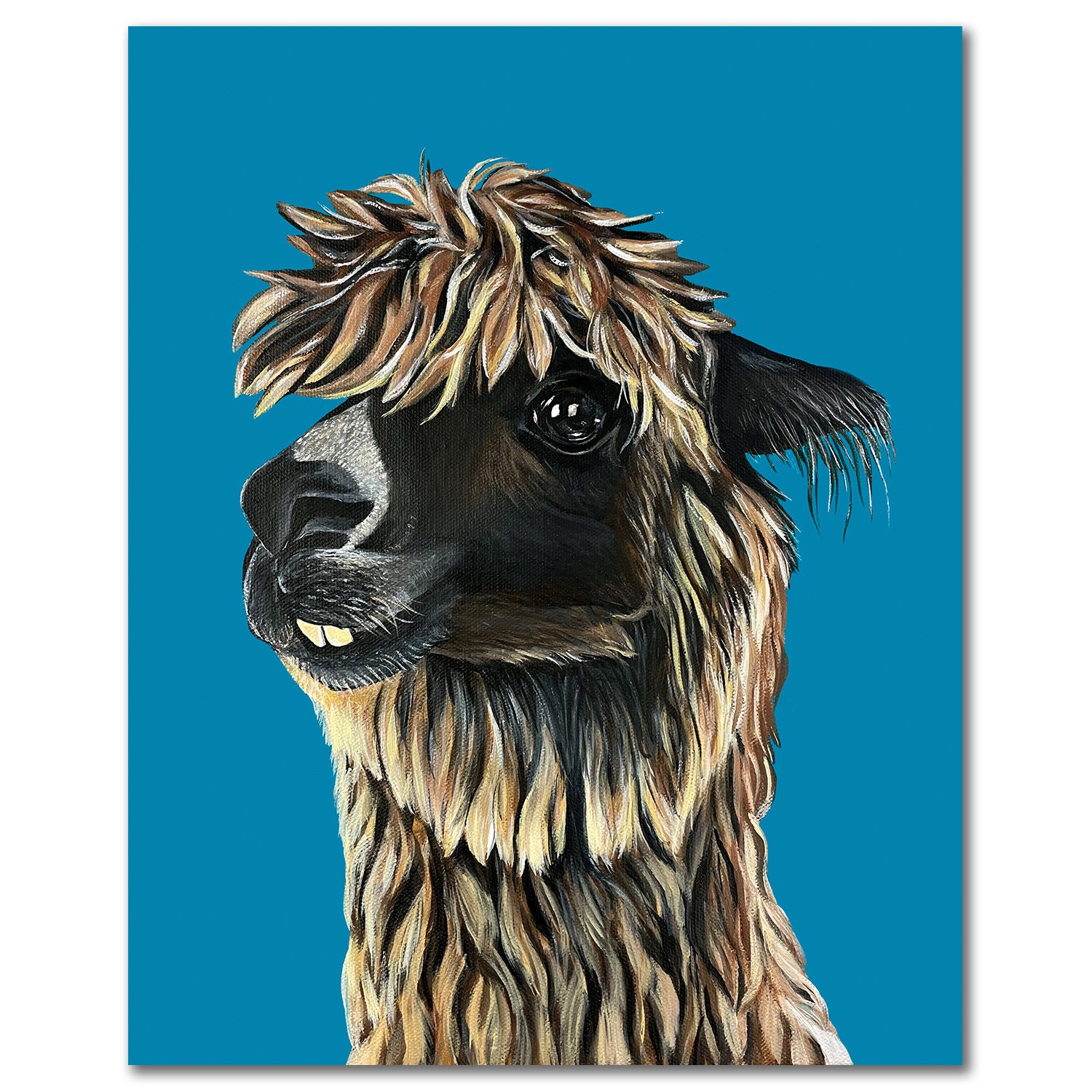 Alpaca Fine Art Print - Molly Mayhem