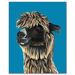 Alpaca Fine Art Print - Molly Mayhem