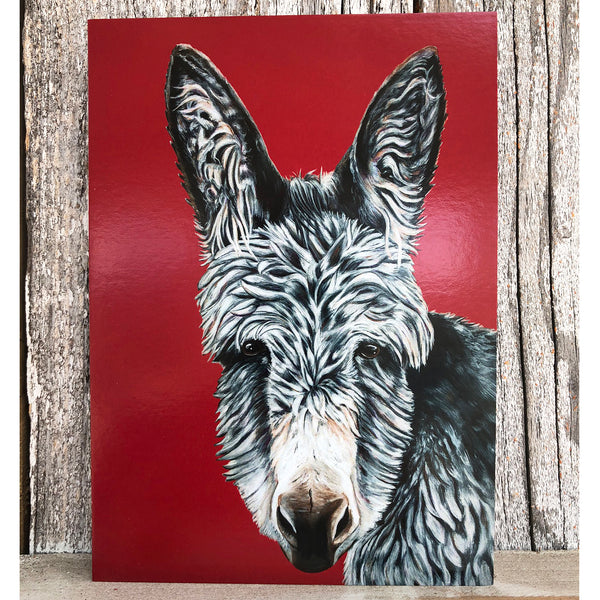 Donkey greeting card- bright red background. Elvis is a donkey that lives at the Isle of Wight Donkey Sanctuary in England