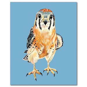 Kestrel Fine Art Print - Pip