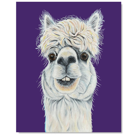 Alpaca Fine Art Print – Al