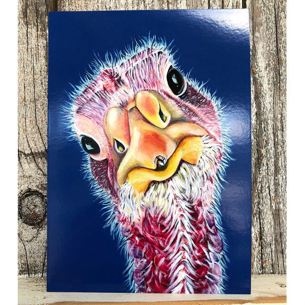 Turkey greeting card with a blue background. Felicity is a Turkey that lives at Loving Farm Animal Sanctuary in California