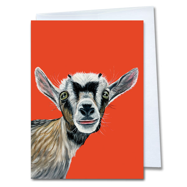 California Rescued Animals Card Set 2