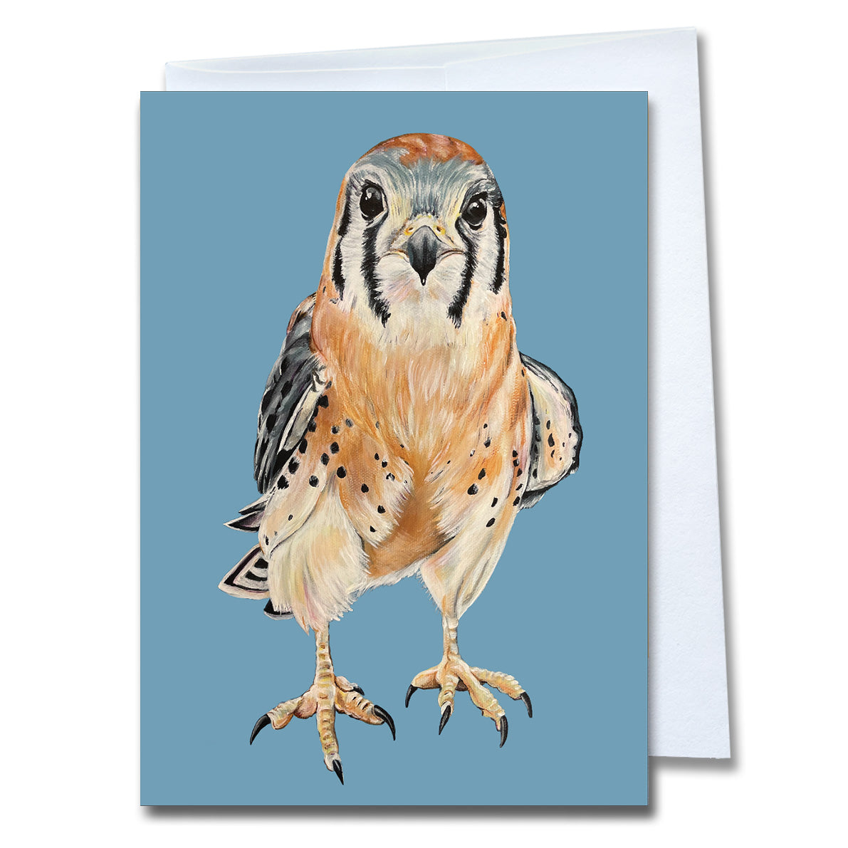 Kestrel Greeting card – Pip